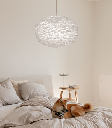 Luftig pendellampe som skaper en varm og avslappende atmosfære i et moderne soverom med en hund som hviler på sengen